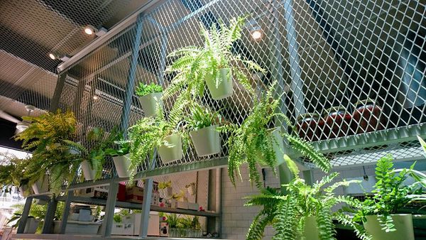 32778564_1880871075277906_4195487589907562496_n