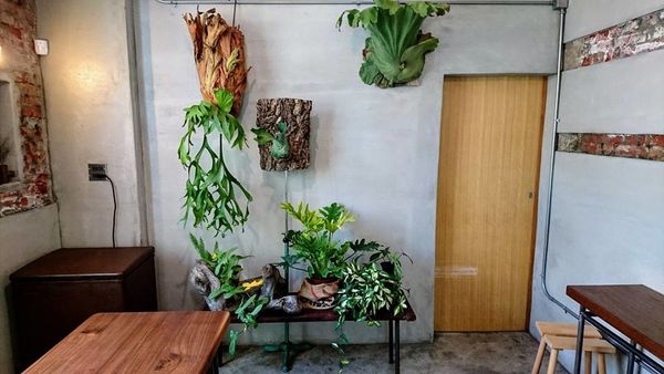 34407279_1899628206735526_4776554965218885632_n