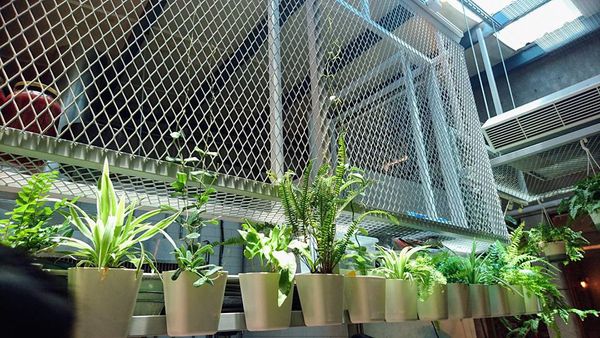 32787160_1880871108611236_6118235798539075584_n