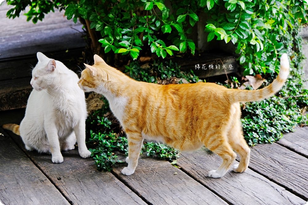 台中老牌麵包店22週年推新品,限時一週馥漫麵包滿百就送折價券 台中老牌麵包店22週年推新品,限時一週馥漫麵包滿百就送折價券