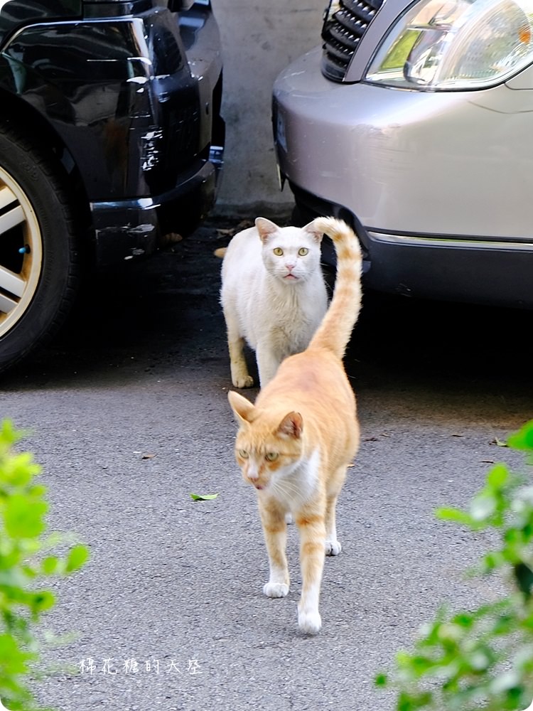 台中老牌麵包店22週年推新品,限時一週馥漫麵包滿百就送折價券 台中老牌麵包店22週年推新品,限時一週馥漫麵包滿百就送折價券