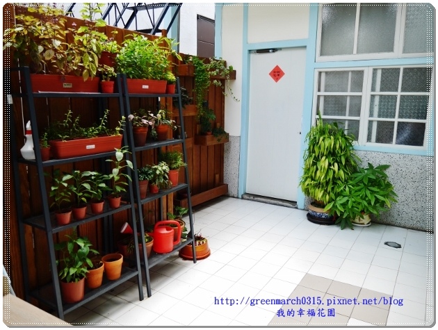 P9150134 (620x465).jpg