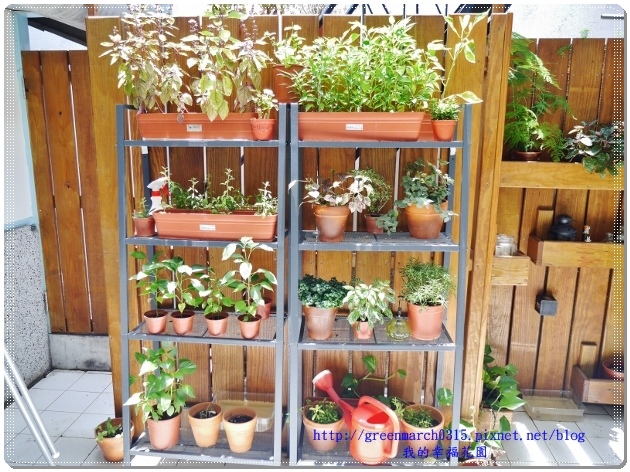 P9150136 (620x462).jpg