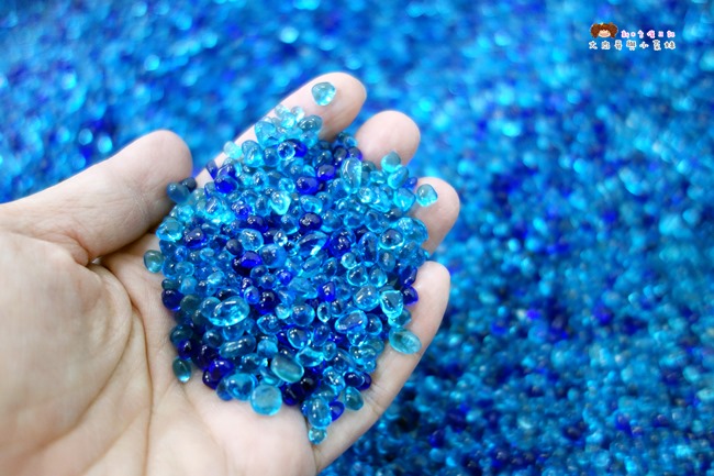 童遊水族館 林口親子館 親子餐廳 童遊 (15).JPG