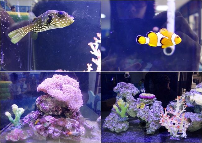 童遊水族館 林口親子館 親子餐廳 童遊 (5).jpg