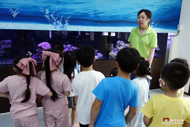 童遊水族館 林口親子館 親子餐廳 童遊 (19).JPG