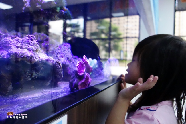 童遊水族館 林口親子館 親子餐廳 童遊 (18).JPG