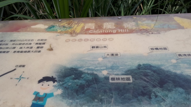 20170529_154731.jpg - 樹林大同山青龍嶺