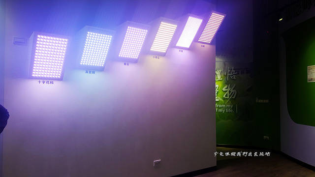 20180708_120917_副本