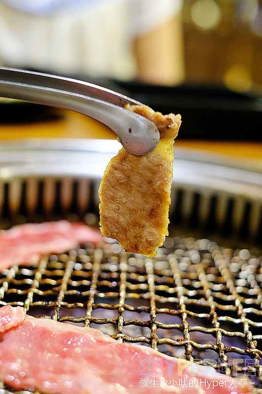  @強生與小吠的Hyper人蔘~