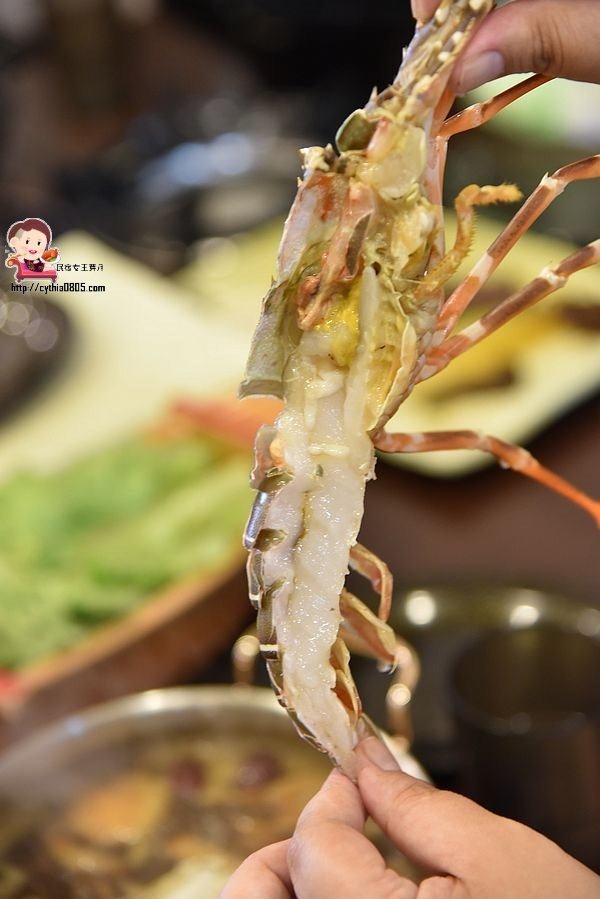 桃園夜市美食-大匠作健康湯鍋-安徽麻辣火鍋好新奇，湯頭實在好喝極了!! (邀約) @民宿女王芽月-美食.旅遊.全台趴趴走