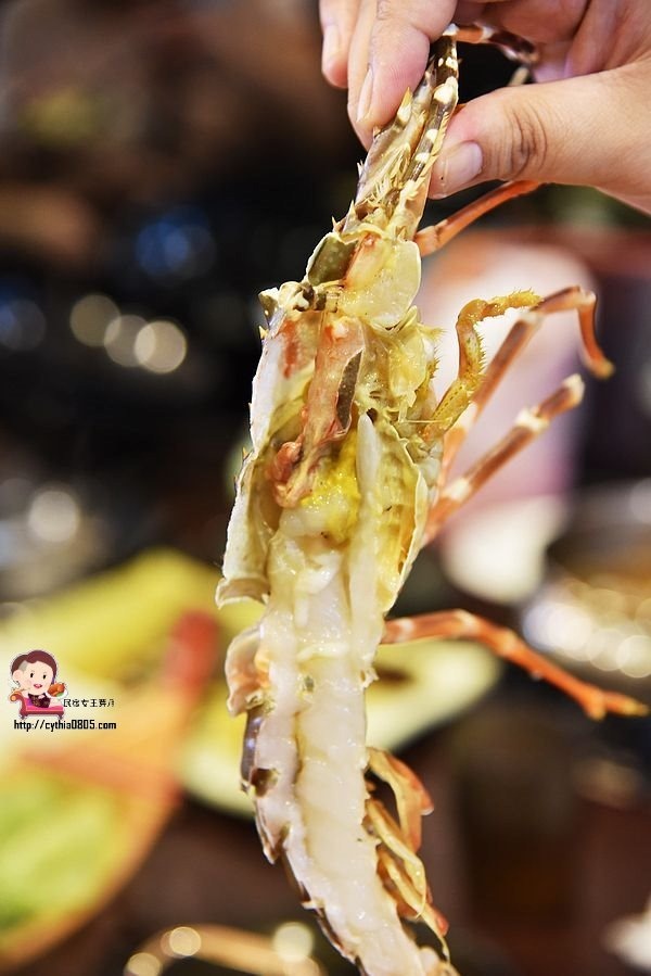 桃園夜市美食-大匠作健康湯鍋-安徽麻辣火鍋好新奇，湯頭實在好喝極了!! (邀約) @民宿女王芽月-美食.旅遊.全台趴趴走