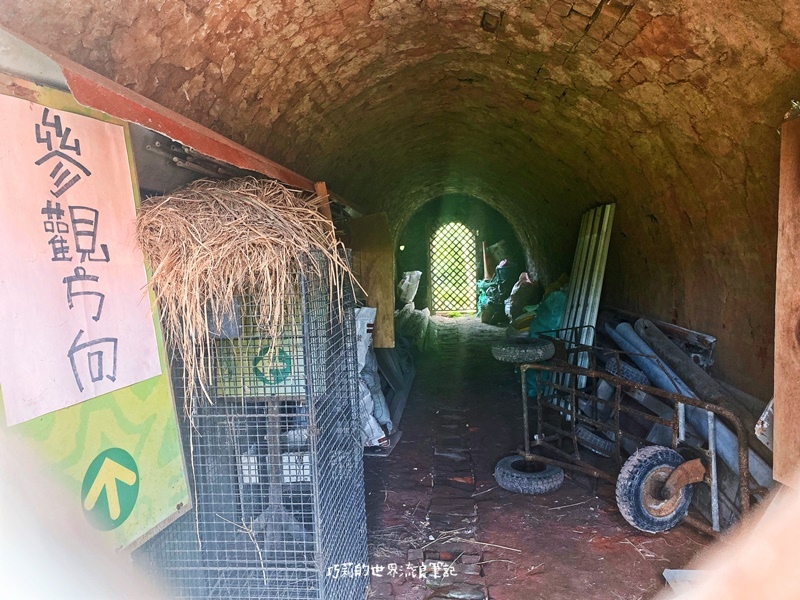 宜蘭景點 || 百年古蹟「宜蘭磚窯」沒看過這麼漂亮的廢墟，還有屋頂一排鳥頭
