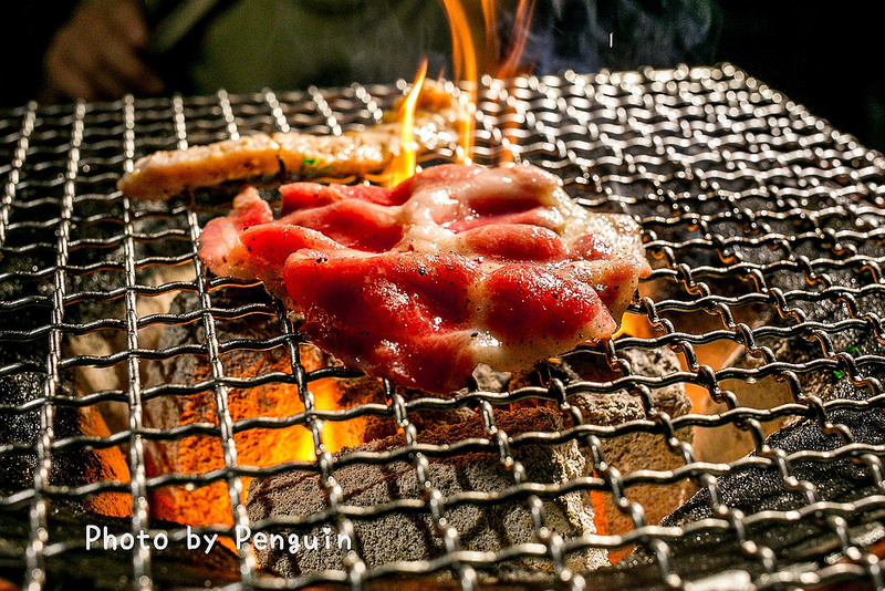 PhotoCap_065 PhotoCap_065