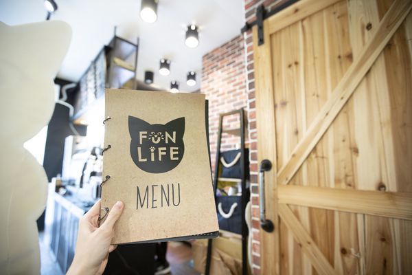 FunLife Gelato Cats Cafe - 40