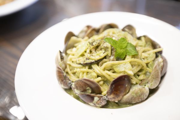 FunLife Gelato Cats Cafe - 4