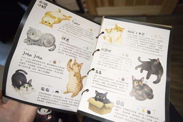 FunLife Gelato Cats Cafe - 38