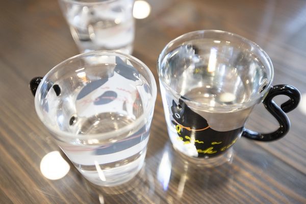 FunLife Gelato Cats Cafe - 18