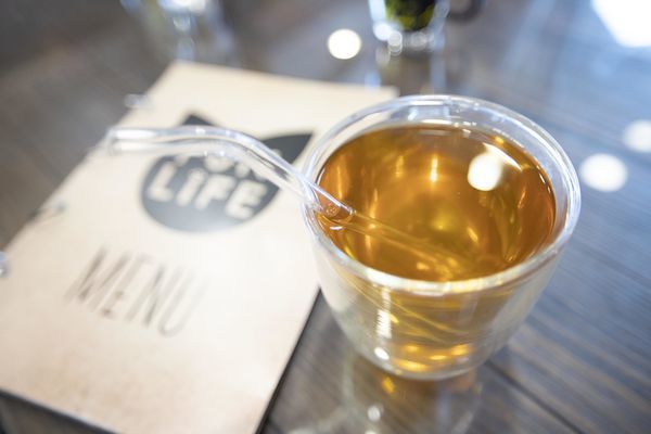 FunLife Gelato Cats Cafe - 15