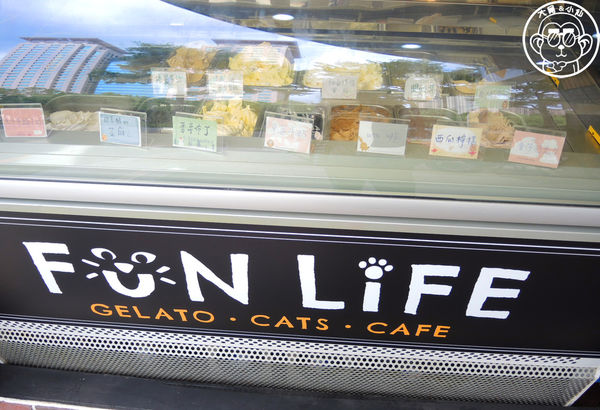 Fun Life - Gelato。Cats。Café:呷飽祙【新北板橋・Fun Life - Gelato。Cats。Café】新開寵物餐廳