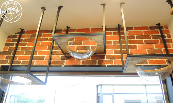 Fun Life - Gelato。Cats。Café:呷飽祙【新北板橋・Fun Life - Gelato。Cats。Café】新開寵物餐廳