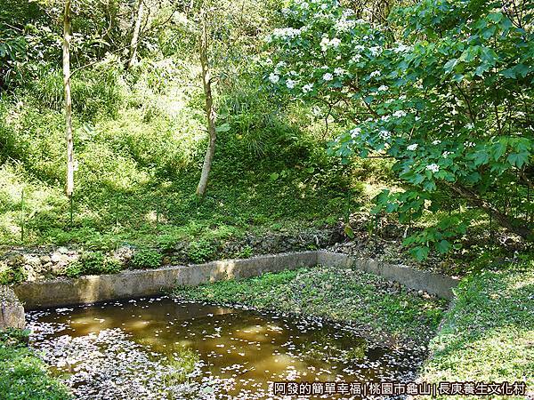 長庚養生文化村16-小水池.JPG