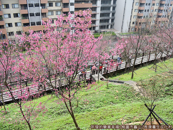 長庚養生文化村15-木棧道一景.JPG