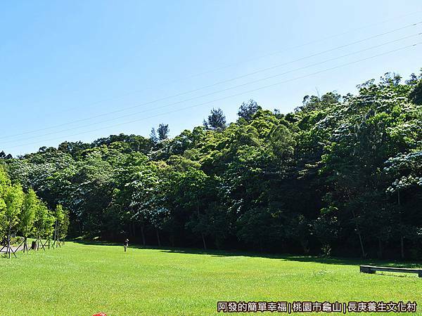 長庚養生文化村07-大草皮旁油桐花.JPG