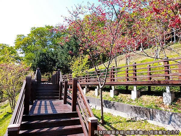 長庚養生文化村18-別有風味的櫻花木棧道階梯.jpg
