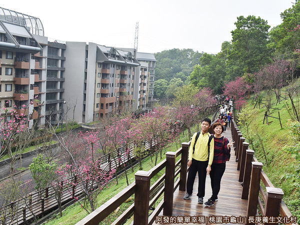 長庚養生文化村18-木棧道上留影.JPG