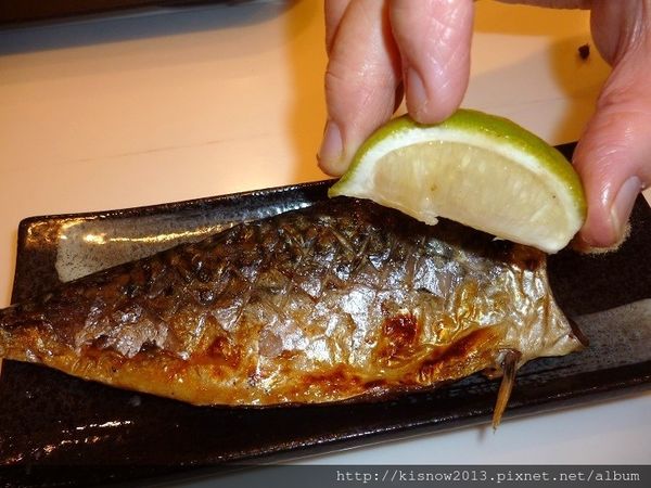 浮誇43-鯖魚.JPG 浮誇43-鯖魚.JPG