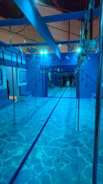 色廊展color gallery：高雄~色廊展 color gallery~大膽玩色彩~15種主題場景~好拍到不要不要的~