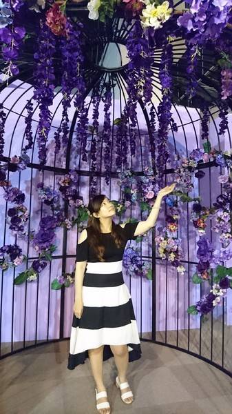 色廊展color gallery：高雄~色廊展 color gallery~大膽玩色彩~15種主題場景~好拍到不要不要的~