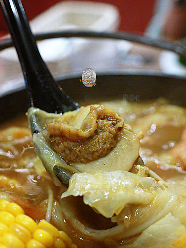 Izumi Curry via Kate's FZ