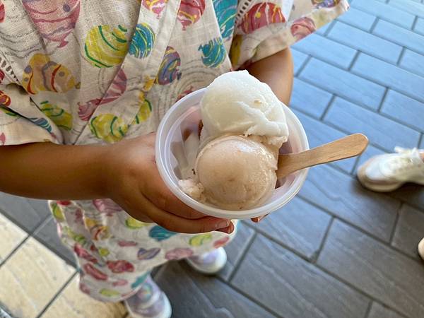 公園號酸梅湯X安妮王的旅行記_003