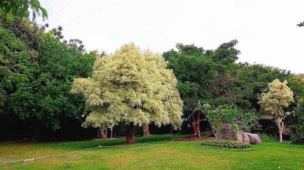 35228499_1818556908165521_3957566467796369408_n