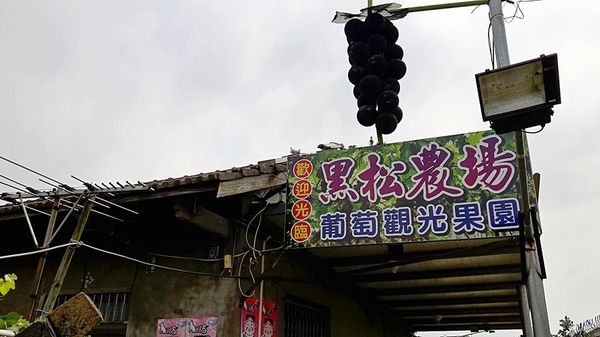 35302371_1818550994832779_7635326399057756160_n