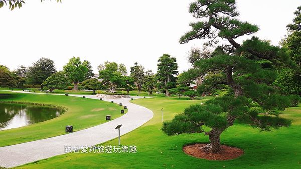 35156837_1817849511569594_3917148794021478400_n