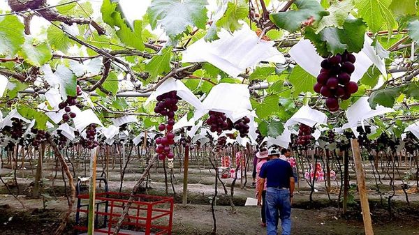 34963380_1817850901569455_7027166215424442368_n