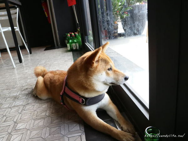 開路比韓式烤肉kailubi:台中美食│開路比韓式烤肉kailubi〃逢甲必吃美食再一發!超好吃的韓式烤肉,還有辣炒年糕也是必點之一~