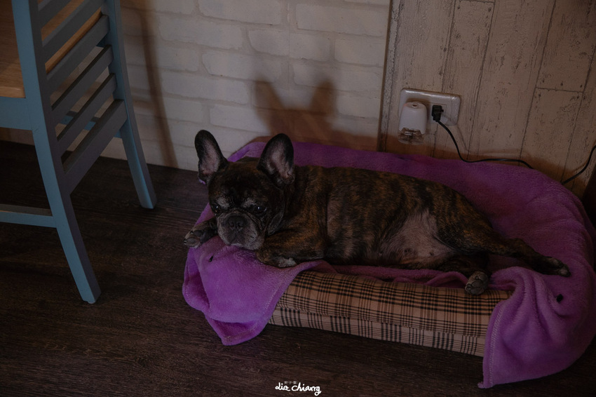 台中市西區下午茶咖啡廳推薦,Condor cafe康朵咖啡烘焙豆,咖啡廳推薦。