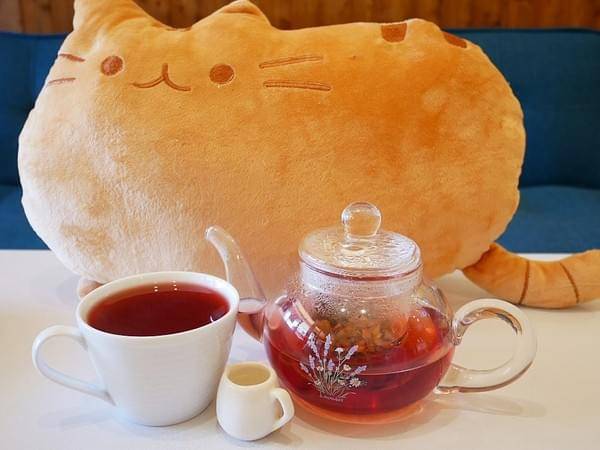 貓奴小姐:貓奴小姐-北投貓咪咖啡廳 店內滿滿貓咪元素 還有三隻可愛的店貓坐陪 待一整個下午都不成問題