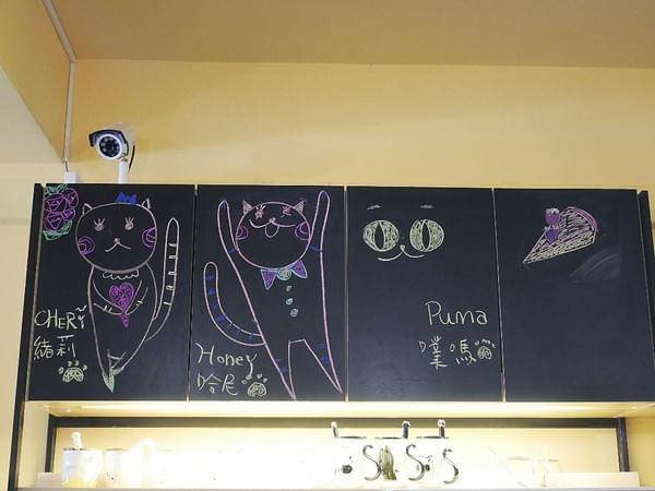 貓奴小姐:貓奴小姐-北投貓咪咖啡廳 店內滿滿貓咪元素 還有三隻可愛的店貓坐陪 待一整個下午都不成問題