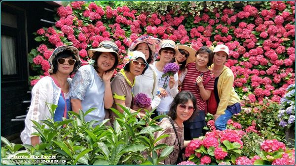 61559588_2518184241527032_3778325542525206528_n