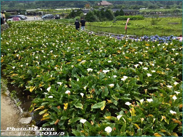 61501449_2518153911530065_7102028216948228096_o