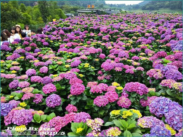 61684408_2518152821530174_677644452310810624_o