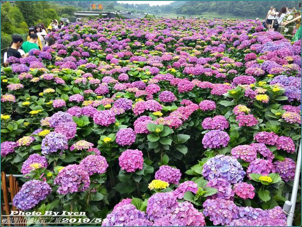 61480546_2518153408196782_7508233227232870400_o