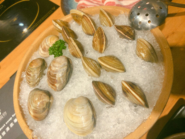 《一森鍋物》永和鍋物 ~ 好吃鍋物推薦 ~ 冬天必吃 ~頂溪捷運站 近樂華夜市 2018.11.26 鮮美湯頭 ~ 松阪豬肉 ~ 會噴水的大蛤蜊 ~