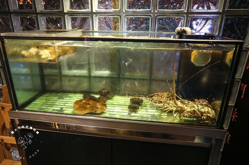 @陳小可的吃喝玩樂