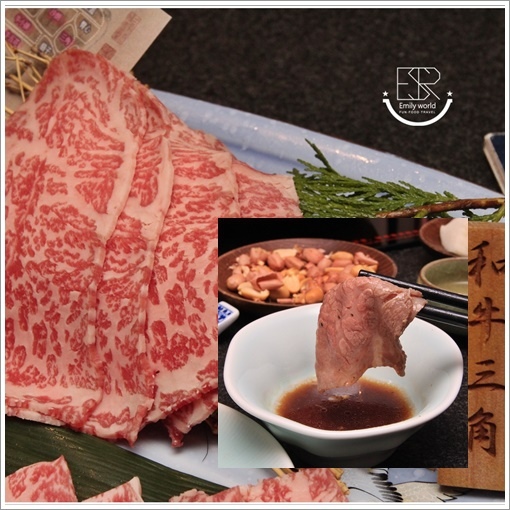 蘭亭燒肉和牛極致料理 (9)